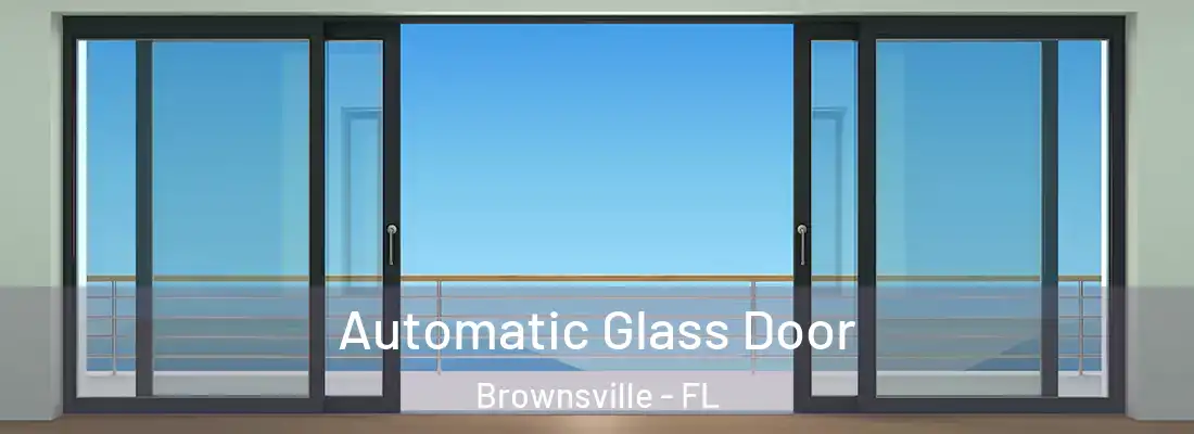 Automatic Glass Door Brownsville - FL