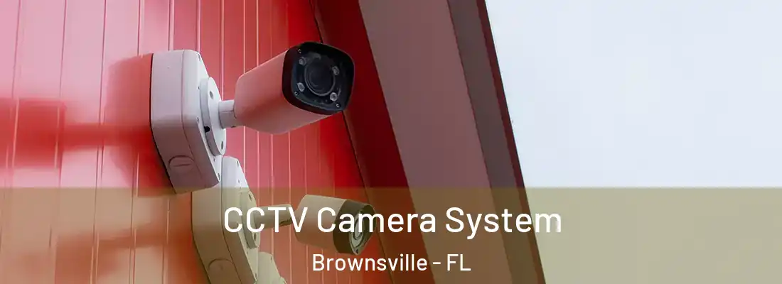 CCTV Camera System Brownsville - FL