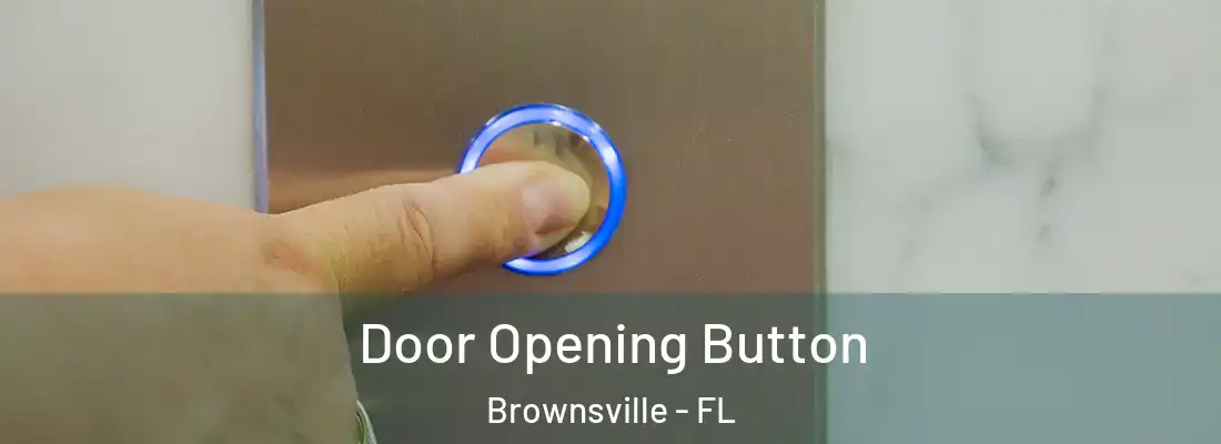 Door Opening Button Brownsville - FL