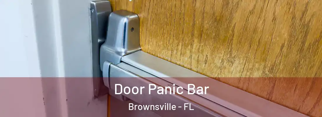  Door Panic Bar Brownsville - FL