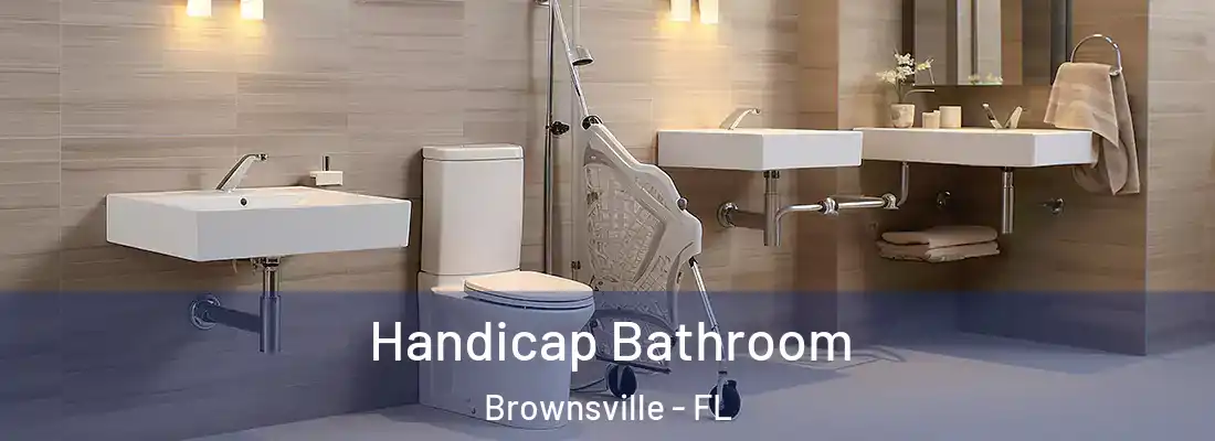Handicap Bathroom Brownsville - FL