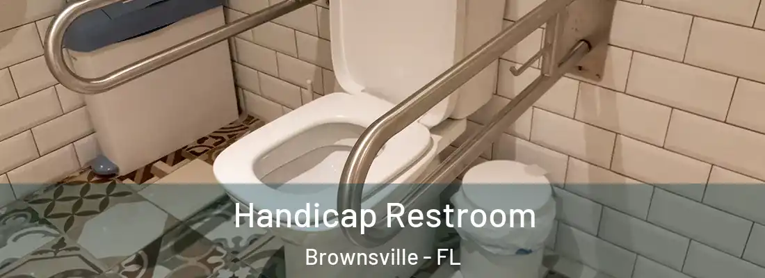 Handicap Restroom Brownsville - FL