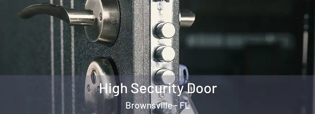 High Security Door Brownsville - FL