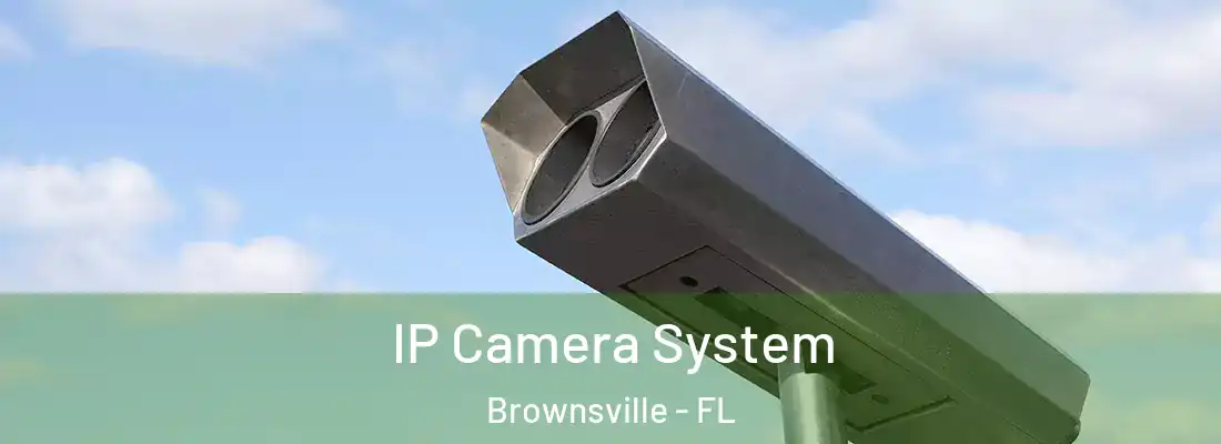 IP Camera System Brownsville - FL