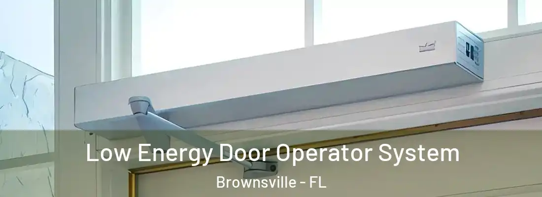 Low Energy Door Operator System Brownsville - FL