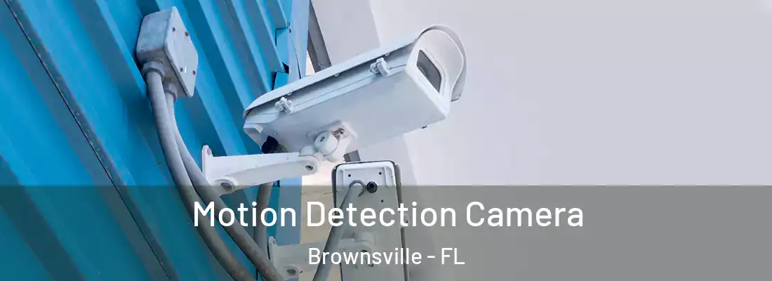 Motion Detection Camera Brownsville - FL