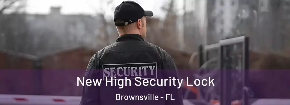 New High Security Lock Brownsville - FL
