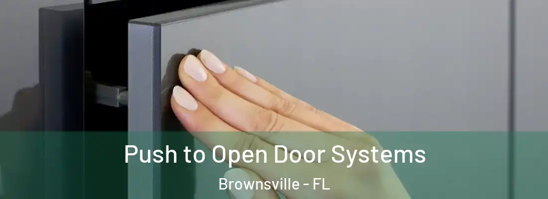 Push to Open Door Systems Brownsville - FL