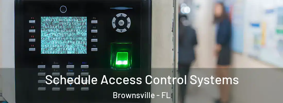 Schedule Access Control Systems Brownsville - FL