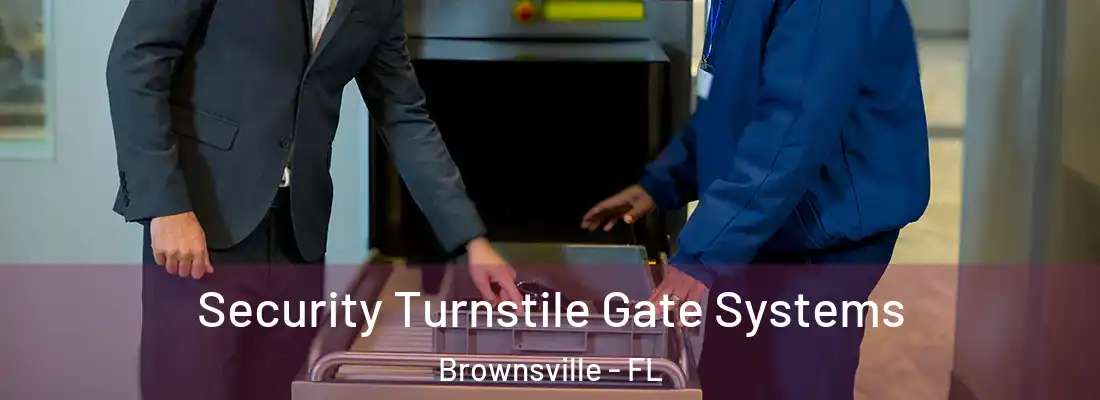 Security Turnstile Gate Systems Brownsville - FL