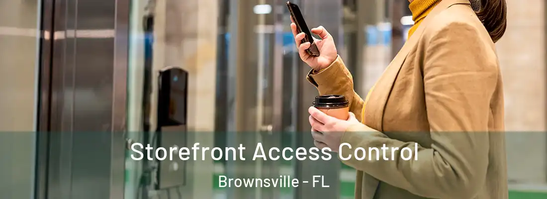 Storefront Access Control Brownsville - FL